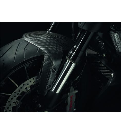 Ducati karbonový přední blatník Diavel 1260