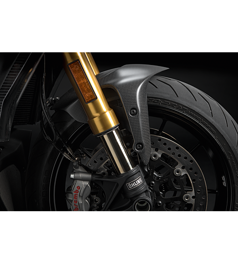 Ducati karbonový přední blatník Diavel 1260