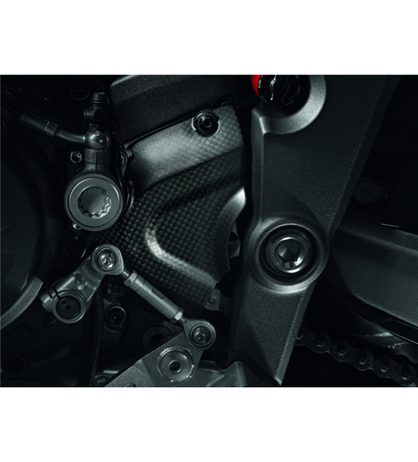 Ducati karbonový kryt řetězového kolečka MTS, DVL